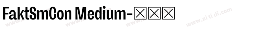 FaktSmCon Medium字体转换